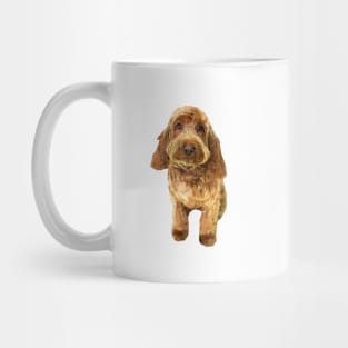 Cockapoo Cockerpoo Spoodle Cutie Doodle Dog Mug